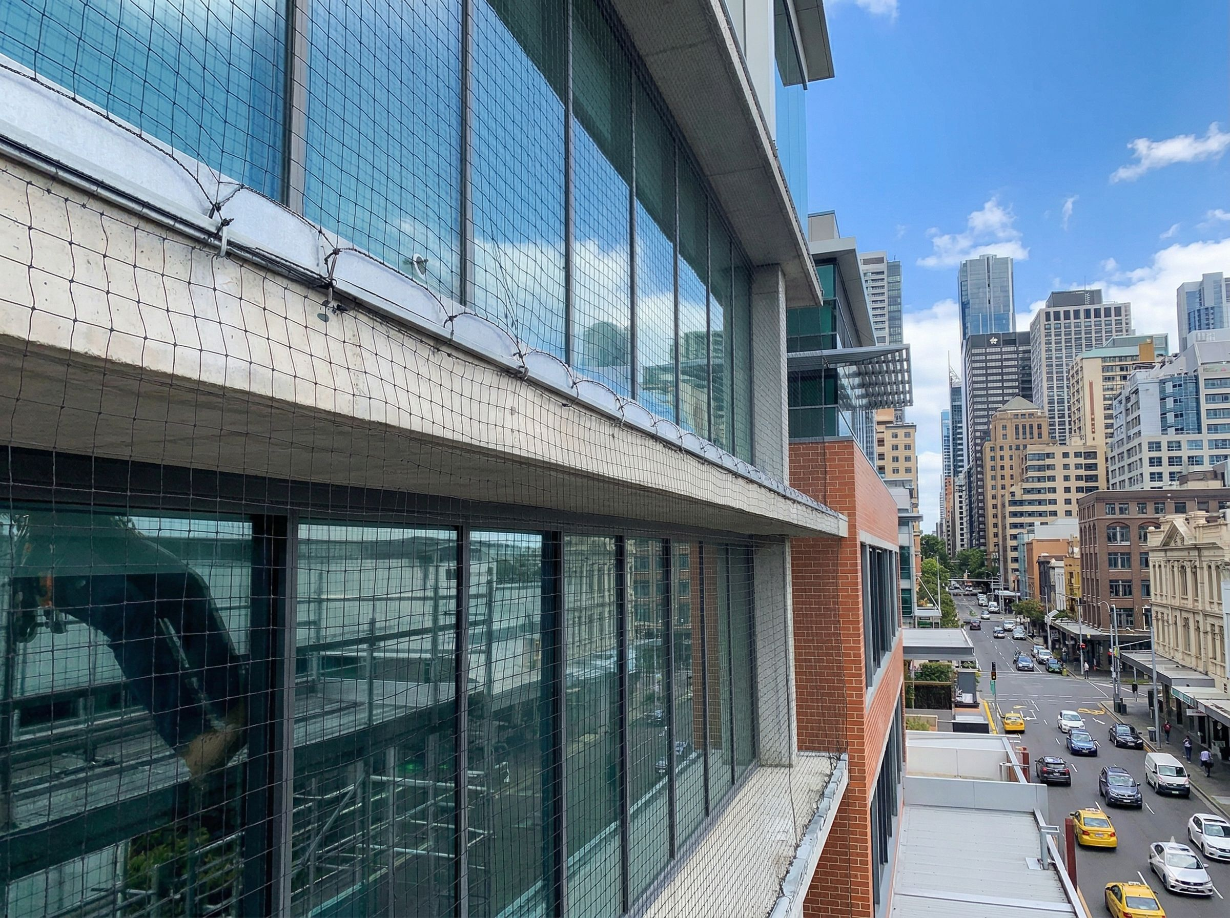 Stop pigeons on balcony article